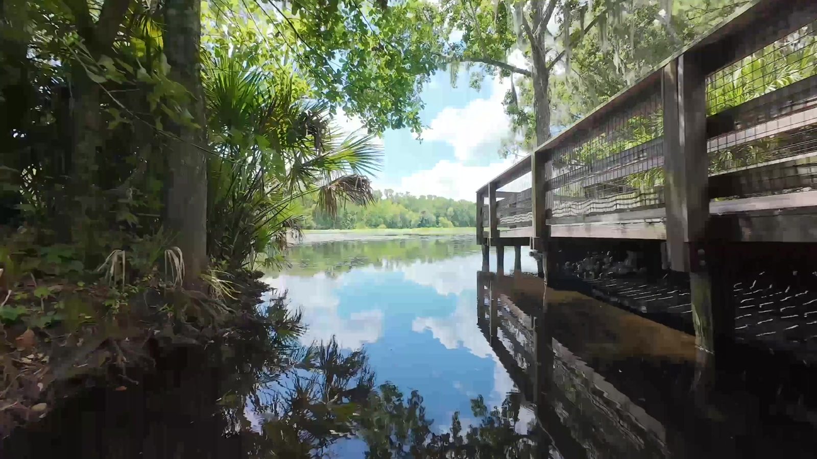 Private pond with a dock at the edge of the Sanford estate property
